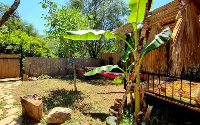 Tiny House Ceviz Kayaköy Jungle Camping