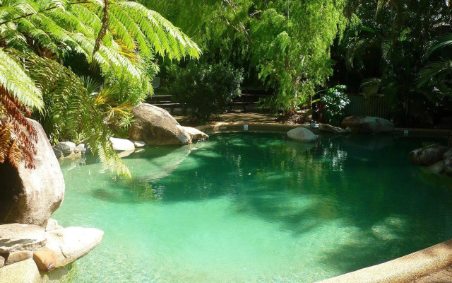 Ferntree Rainforest Lodge