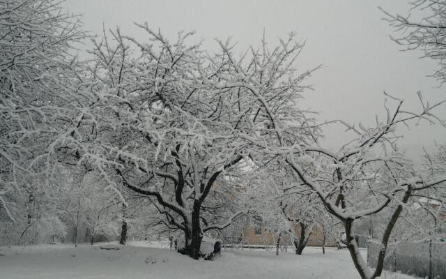 Guest House at Lesya Ukrainka
