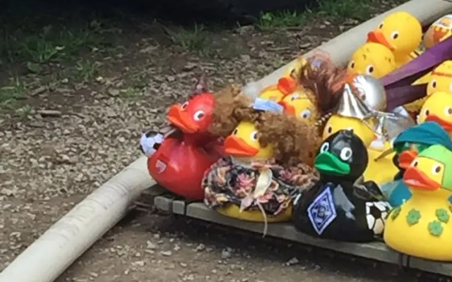 Gästehaus Peterhoff