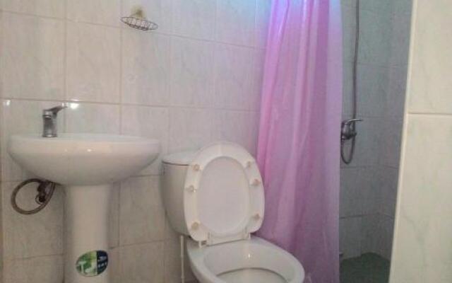 Guest house on Fruktovaya 317