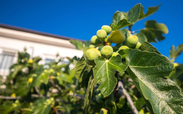 Studio Point of view