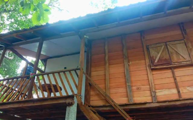 Peafowl Tree Lodge