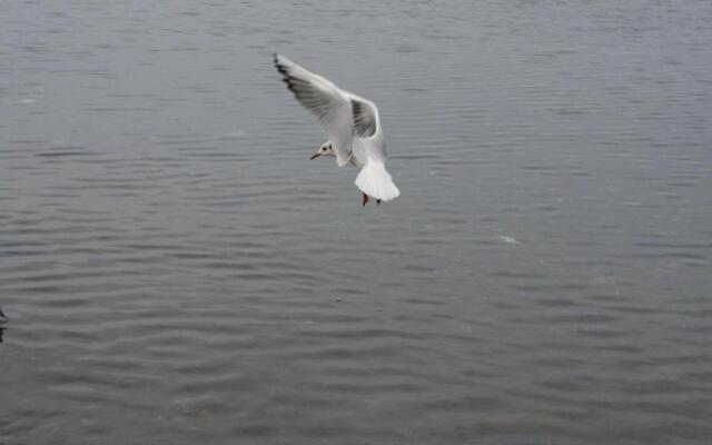 Civico 10 - Appartamento sul Lago