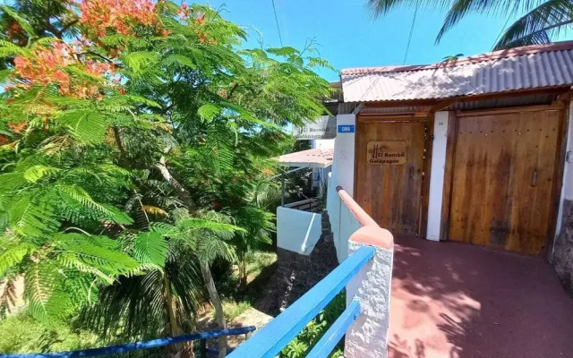 El Bambú Galapagos