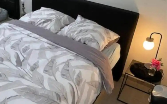 Big Beautiful Appartement in Center of Antwerpen