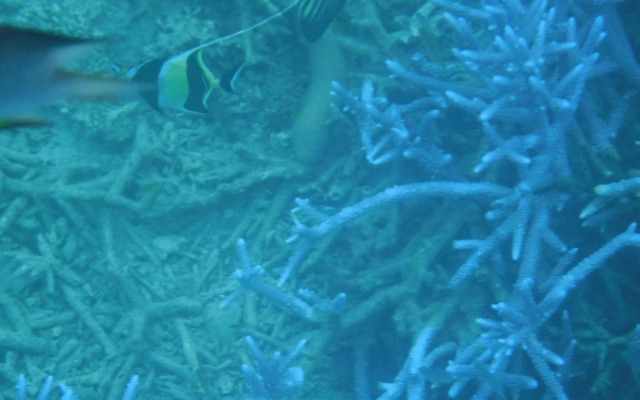 Sol e Mar (Amami Oshima)