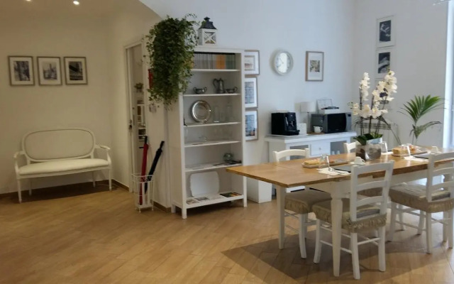 Novelli 36