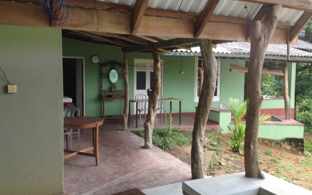 Yoho Rain Forest Eco Lodge