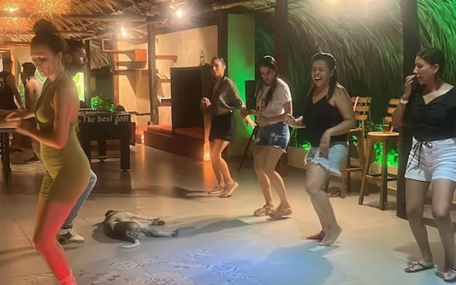 Tree of Life - Hostel