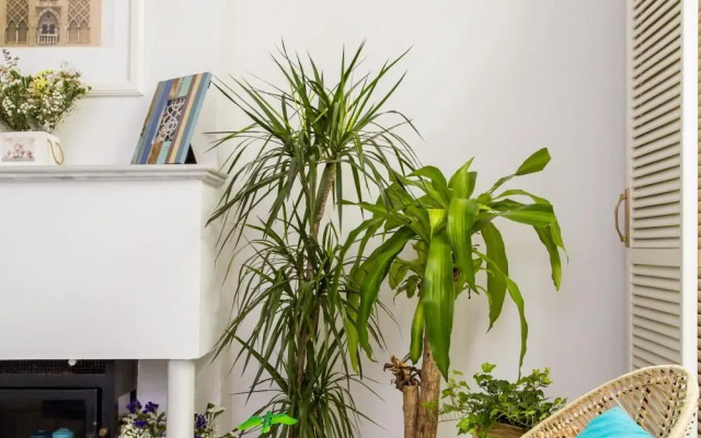 Mágico apartamento en casa palacio del siglo XVII