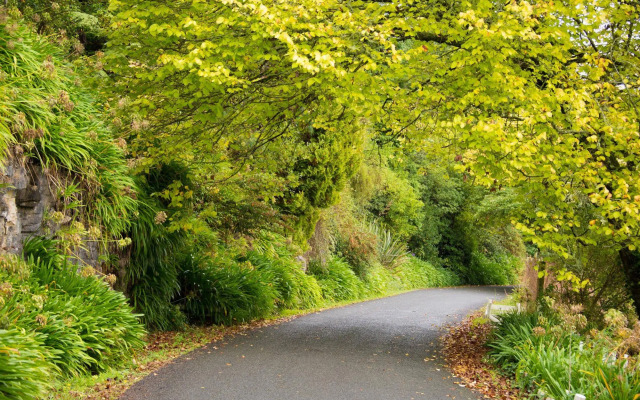 Waitomo Caves Hotel