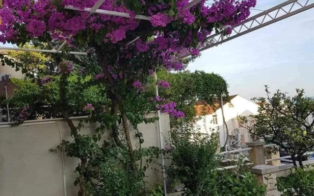 Apartman Nikolić 2