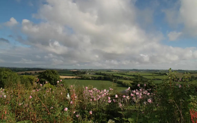Ardfield