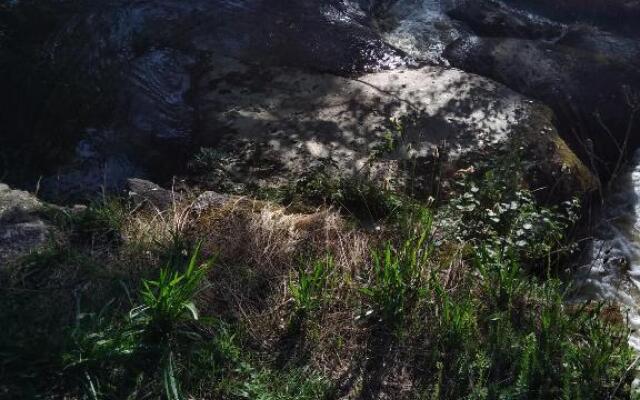 les pieds dans l'eau