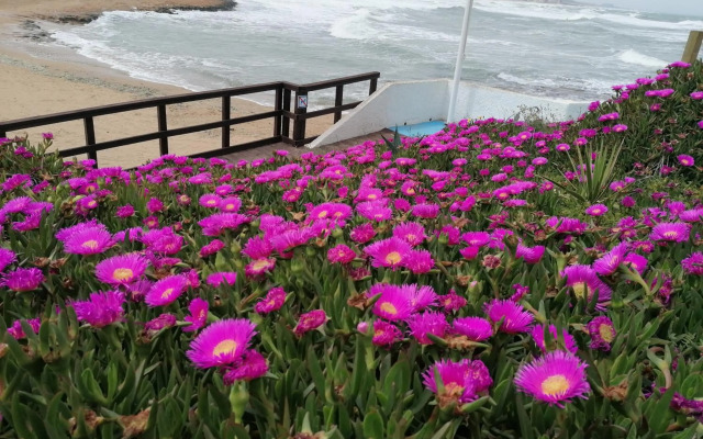 The house of secrets