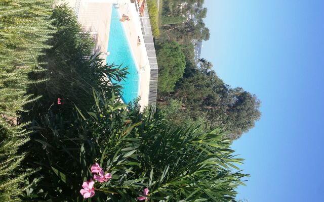 Elegant Villa Cannes Beautiful garden