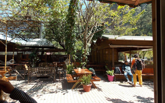 Olympos Orange