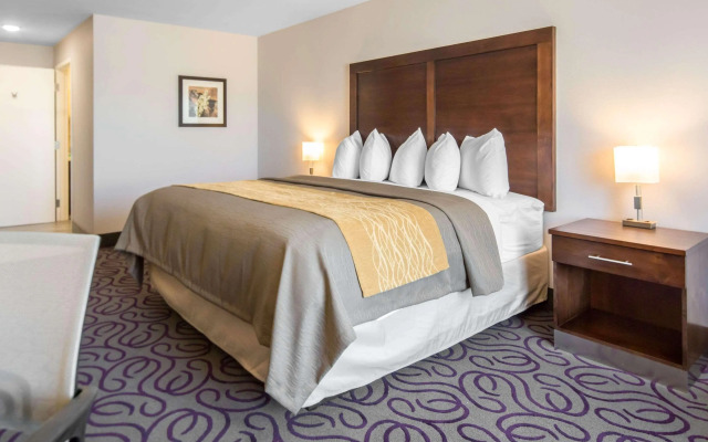 Comfort Inn & Suites Lovington