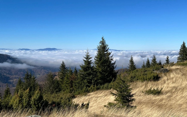 Dora, Above The Clouds 2