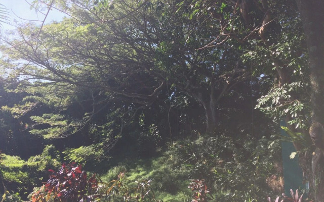 SweetSpotStay-Enchanted Grotto