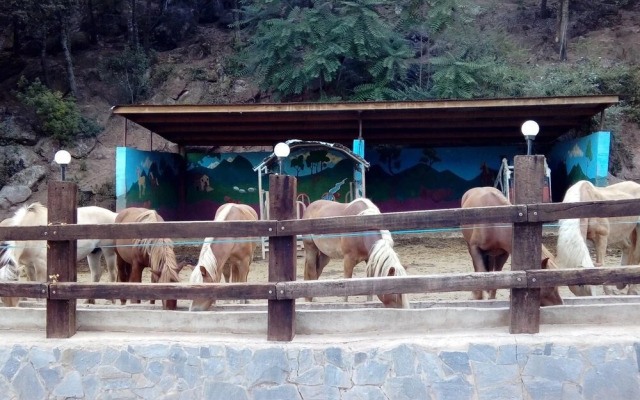Camping Manso Coguleras