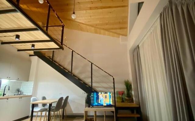Snow Forest Bakuriani Apartment 18