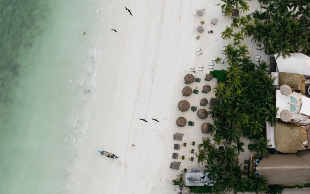 Casa Las Tortugas Petit Beach Hotel & Spa