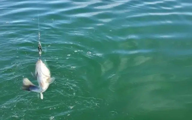 Apartments Renta Eva 2