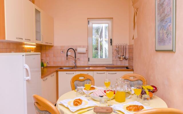 Apartments Vila Jelka