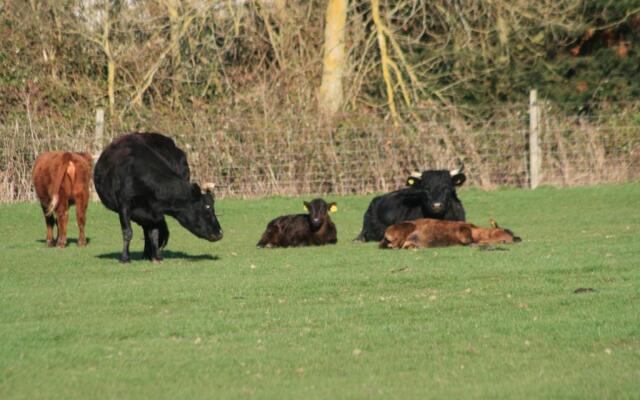 Chadwell Hill Farm