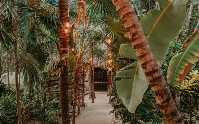 Petit Lafitte Hotel