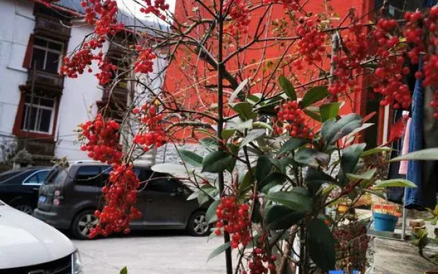 Jiuzhaigou happy sunshine home stay