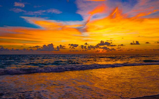 Anna Maria Island Beach Palms 7A