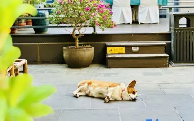 Wuzhishan Yisuli Theme Hotel