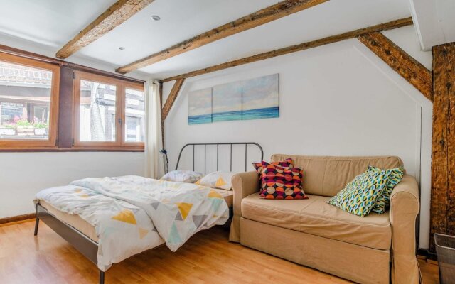 Charming Triplex for 6 - Strasbourg