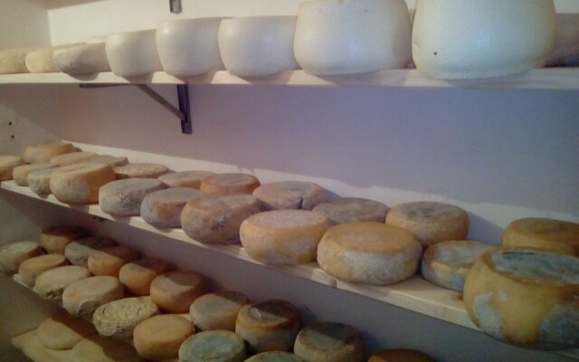 Agriturismo I due Falcetti