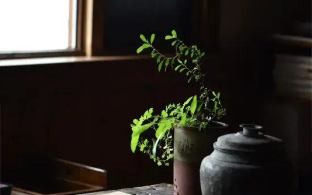 Onlyhere·Qishu (Hongcun Branch)
