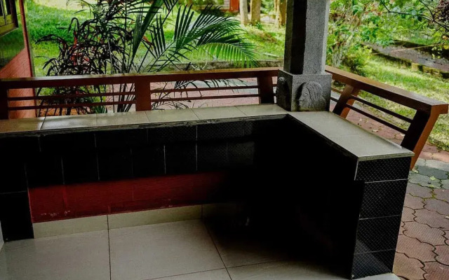 Misty Night Jungle Side Resort