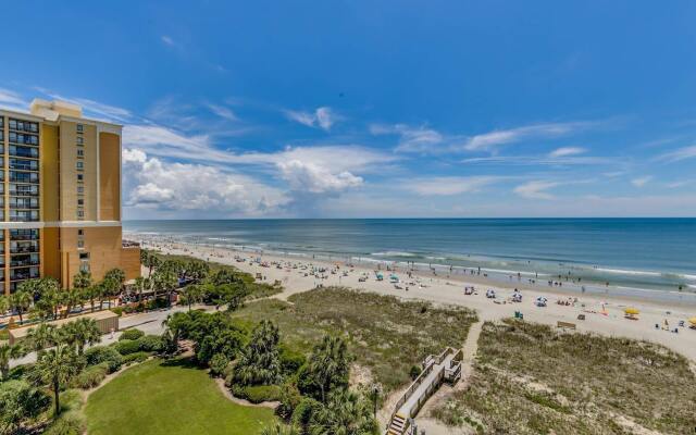 Carolina Dunes