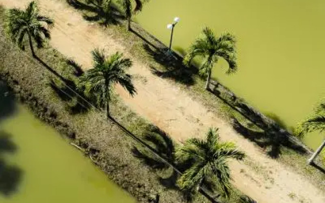 Hacienda Don Vicente Bungalows - Tarapoto