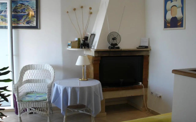Belvedere Studio