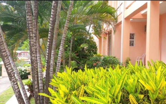 Bougainvillea Apartments