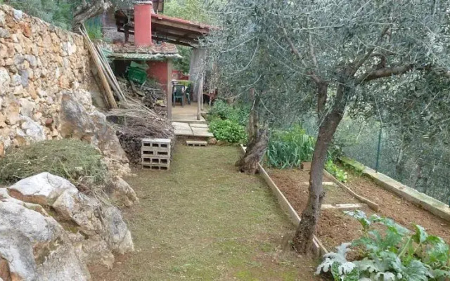 Rustico Ugo