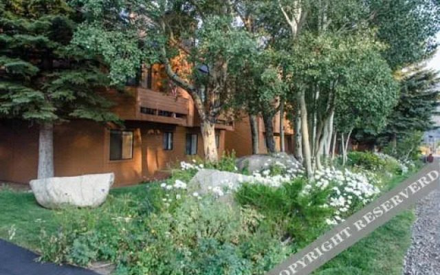 Snowflower At Mammoth Condominiums