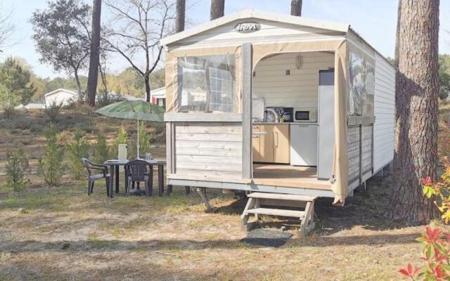 locationestivale40 Bungalow petit budget océan forêt