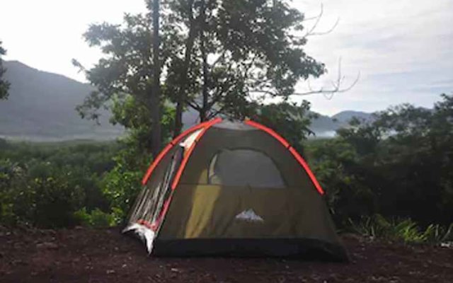 24 Camping & Bar