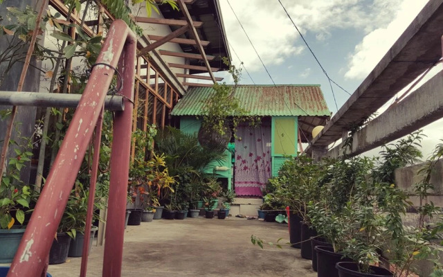 Mingle in Baler - Hostel