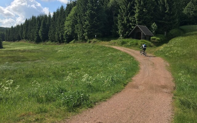 Ferienhaus Bikehütte Rehnhäusl