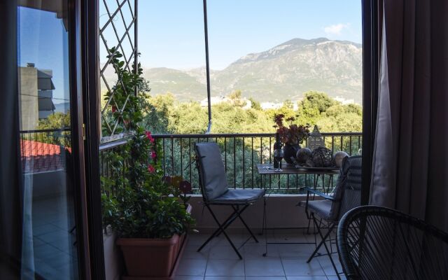 Amalia's Serendipity - City Lights & Mountain Vistas